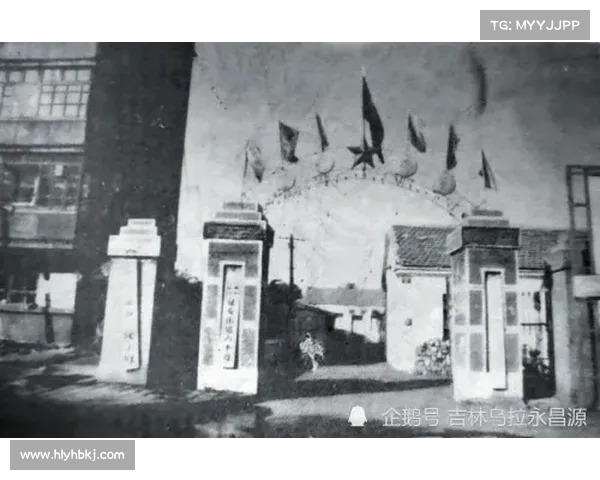 揭秘东超背后的历史脉络与现实意义探寻发展背景与深远影响